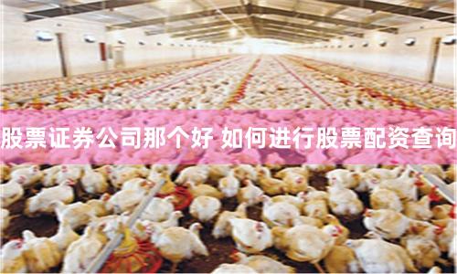 股票证券公司那个好 如何进行股票配资查询