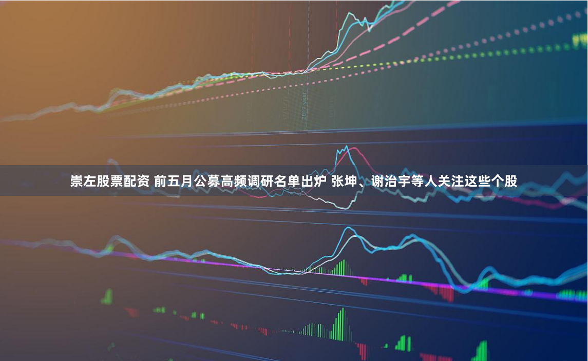 崇左股票配资 前五月公募高频调研名单出炉 张坤、谢治宇等人关注这些个股