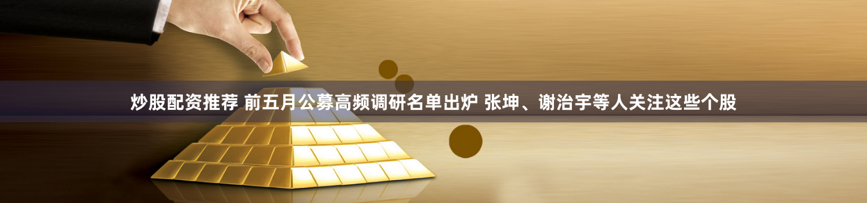 炒股配资推荐 前五月公募高频调研名单出炉 张坤、谢治宇等人关注这些个股