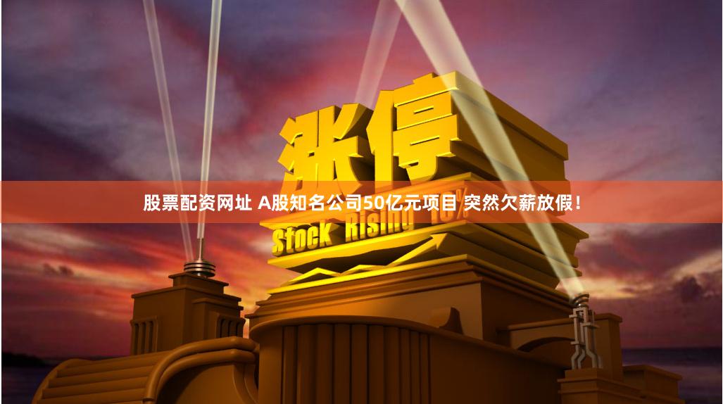 股票配资网址 A股知名公司50亿元项目 突然欠薪放假！